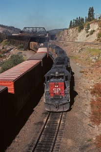 Southern Pacific Railroad locomotive no. 8804 hauls eastbound freight at Norden, California, on September 21, 1974. Photograph by William Botkin, BOTKINW-18-WT-24 © 1974, William Botkin.