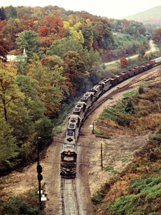 Northbound Clinchfield Railroad freight train in Altapass, North Carolina, on October 17, 1980. Photograph by John F. Bjorklund, © 2015, Center for Railroad Photography and Art. Bjorklund-41-23-06