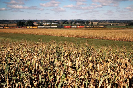 Eastbound Chicago and North Western Railway freight train in Mankato, Minnesota, on October 6, 1979. Photograph by John F. Bjorklund, © 2015, Center for Railroad Photography and Art. Bjorklund-26-14-01