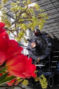 Photographer's notes: “A Colorful Day at the Enginehouse." Spokane, Portland & Seattle 4-8-4 steam locomotive no. 700 overlooks a table’s floral centerpiece at a party inside the Oregon Rail Heritage Center, Portland, Oregon, March 30, 2013

Read more about the <a href="http://www.railphoto-art.org/awards/2016-awards/" rel="nofollow">2016 John E. Gruber Creative Photography Awards Program</a>.