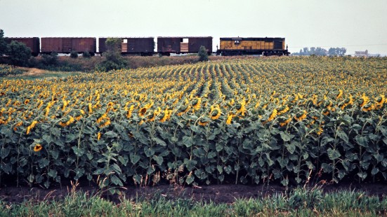 Eastbound Chicago and North Western Railway freight train in Walnut Grove, Minnesota, on July 22, 1976. Photograph by John F. Bjorklund, © 2015, Center for Railroad Photography and Art.  Bjorklund-25-03-17.