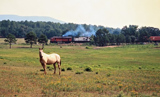 Westbound Kansas City Southern Railway freight train and horse near Cauthron, Arkansas, on July 19, 1977. Photograph by John F. Bjorklund, © 2016, Center for Railroad Photography and Art. Bjorklund-61-17-11