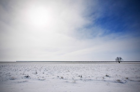 In eastern Montana near the North Dakota state line, blue sky with high thin clouds and ground covered with blown snow depict a scene of vast nothingness broken only by a lone tree and the thin line of a distant train on the horizon.