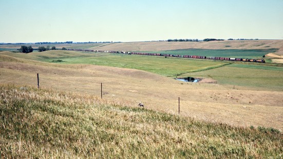 Eastbound Chicago and North Western Railway freight train near Lake Benton, Minnesota, on July 23, 1976. Photograph by John F. Bjorklund, © 2015, Center for Railroad Photography and Art. Bjorklund-25-08-08.