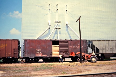 Loading grain in boxcars on the Chicago and North Western Railway in Springfield, Minnesota, on July 22, 1976. Photograph by John F. Bjorklund, © 2015, Center for Railroad Photography and Art. Bjorklund-25-04-13.