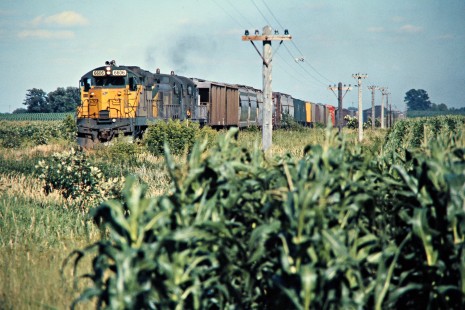 Westbound Chicago and North Western Railway freight train near Claremont, Minnesota, on July 17, 1976. Photograph by John F. Bjorklund, © 2015, Center for Railroad Photography and Art. Bjorklund-24-25-02.