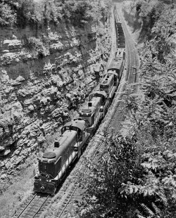 Southbound Louisville and Nashville Railroad freight train traverses deep cut after departing Radnor Yard in Nashville, Tennessee, in August 1963. Photograph by J. Parker Lamb, © 2016, Center for Railroad Photography and Art. Lamb-01-142-01