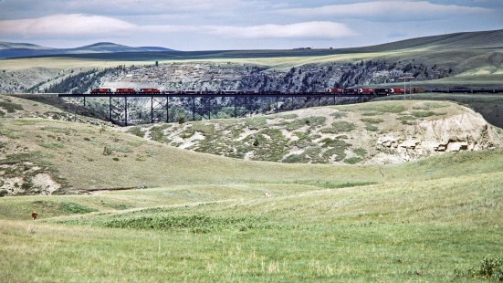 Westbound Canadian Pacific Railway freight train no. 979 near Pincher, Alberta, on July 11, 1983. Photograph by John F. Bjorklund, © 2015, Center for Railroad Photography and Art. Bjorklund-38-02-22