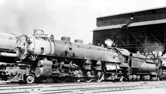 Union Pacific Railroad engine no. 7013 (2-8-2) at North Platte, Nebraska, on March 30, 1955. Photograph by Robert A. Hadley, © 2017, Center for Railroad Photography and Art. Hadley-09-130-04