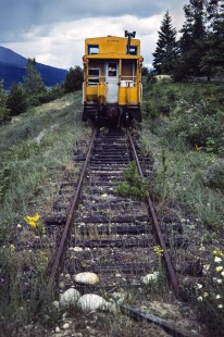 End of track for the Canadian Pacific Railway's Kaslo Subdivision in Nakusp, British Columbia, on July 14, 1983. Photograph by John F. Bjorklund, © 2015, Center for Railroad Photography and Art. Bjorklund-38-10-19