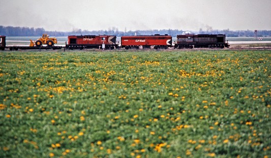 Eastbound Canadian Pacific Railway freight train near London, Ontario, on May 17, 1975. Photograph by John F. Bjorklund, © 2015, Center for Railroad Photography and Art. Bjorklund-36-28-16