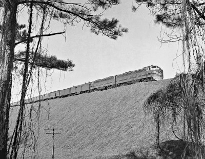 Florida-bound Central of Georgia Railway <i>Seminole</i> passenger train races across high fill north of Opelika, Alabama, in February 1955. Photograph by J. Parker Lamb, © 2016, Center for Railroad Photography and Art. Lamb-02-011-02