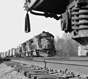 Birmingham-bound Southern Railway train pulls into Meridian, Mississippi, behind Southern Pacific Railroad pool units in February 1976. Photograph by J. Parker Lamb, © 2016, Center for Railroad Photography and Art. Lamb-01-113-07