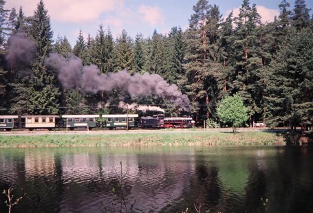 Waldviertler Narrow-Gauge Railway Club steam locomotive no. 399.04 creates a large cloud of smoke as it passes through the woods in Nagelberg, Brand-Nagelberg, Austria, on May 12, 2001. Photograph by Fred M. Springer, © 2014, Center for Railroad Photography and Art. Springer-Austria-03-19