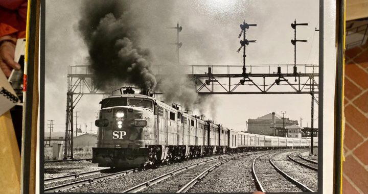 Member Exclusive: Behind-the-Scenes with the Steinheimer Collection