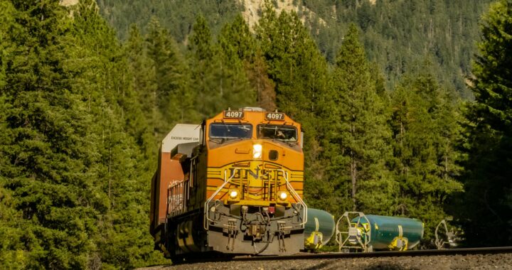 Zoom program: “A Spike in Time” with Andrea Capiola