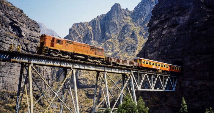 Zoom member-exclusive program: Inside the Henry Posner III Collection