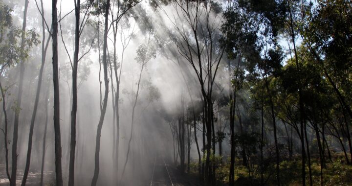 Zoom program: An evening with the winners of the 2024 Creative Photography Awards